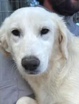 LOREDANA kämpft für ihre Zukunft - Regensburg