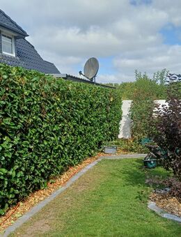 Gartendienste aller Art - Barßel