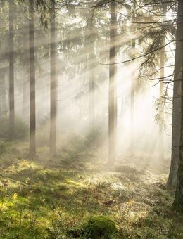 Traditionelle Beziehung - Köln Zentrum