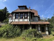 großes Wohnhaus mit Stall und Werkstattgebäuden, 7600qm Grundstück, überwiegend bebaubar - Munster