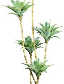 Kunstpflanze Agave Agave, Creativ green, Höhe 160 cm, auf 5 Stämmen
