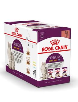 Royal Canin Sensory Smell Taste Feel Multipack in Soße - 12 x 85 g