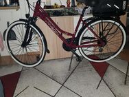 Verkaufe e bike - Langerwehe