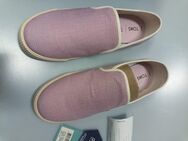 Toms Clemente Burnished Lilac Heritage Canvas Größe 39 - Rödermark Zentrum