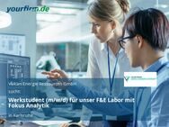 Werkstudent (m/w/d) für unser F&E Labor mit Fokus Analytik - Karlsruhe