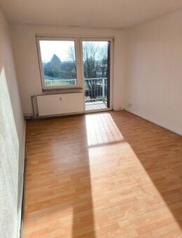 Sonnige 3- Raum - Wohnung in naturnaher Lage - Diedrichshagen