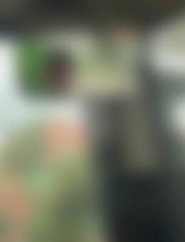 Eli*** - Bad Frankenhausen (Kyffhäuser)