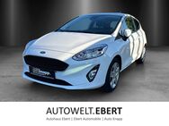 Ford Fiesta, 1.0 EcoBoost Cool&Connect, Jahr 2020 - Weinheim