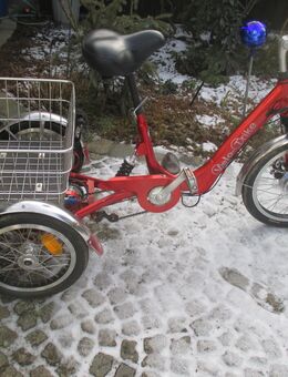 Alu - Marken - Elastic E-Dreirad ( Velo - Trike ) - Germering