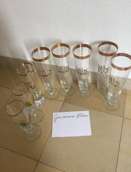 Biergläser > Warsteiner + Germania - Emsdetten