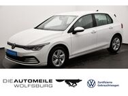 VW Golf, 2.0 TDI 8 VIII Life, Jahr 2024 - Wolfsburg