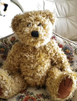 Transfair-Plüsch-Teddy,ca. 18 cm - Linnich