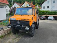 UNIMOG 424 U1200 MIT PALFINGER TOP - Bad Dürkheim