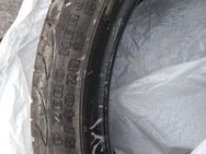 2 x PIRELLI Zero Nero 205/40 ZR 17 84W ca. 7-8 mm - Winnenden