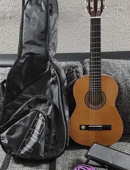 Thomann Classic Guitar 1/2 - Sassenburg
