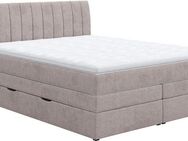 COTTA Boxspringbett Shark inkl. Bettkasten und Topper, erhältlich in den Breiten 140x200cm, 160x200cm und 180x200cm