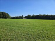 Alleinlage Nutzfläche 735qm 26000qm Wald Wiese 2 Familien Wohnhaus Gewerbehalle autark - Aichstetten