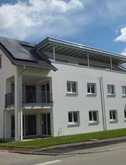Aussicht pur - 2,5 Zimmer Neubauwohnung - Allmendingen