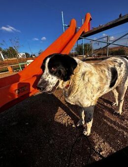 Dacota - probiers mal mit Gemütlichkeit - Ratekau
