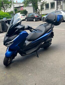 Verkaufe Honda Forza 350 - Wiesbaden Biebrich
