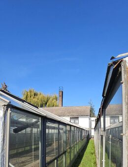 Ihr neues Projekt wartet mitten in Aken mit großem Grundstück mit Einfamilienhaus - Aken (Elbe)