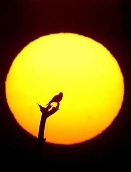 Sonnenseite des Lebens... - Moers