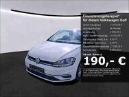 VW Golf, 1.0 TSI VII Comfortline, Jahr 2020 - Bernau (Berlin)