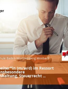 Sachbearbeiter*in (m/w/d) im Ressort Finanzen insbesondere Bilanzbuchhaltung, Steuerrecht und Controlling - Mosbach