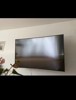 Samsung Fernseher 65 Zoll + Halterung (neuwertig) - Leonberg (Baden-Württemberg)