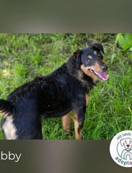 Skibby: Fröhlich trotz Enttäuschung - Kirchzell