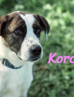 Kora3 klug und verspielt geb. 08/19 ESP - Ruppertsecken