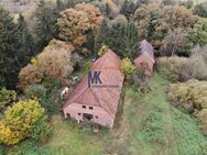 unverbauter Resthof zu verkaufen - Osterholz-Scharmbeck