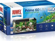 Juwel Aquarium 60 ltr. mit Filter und Beleuchtung zu verkaufen. - Dortmund