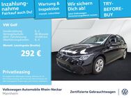 VW Golf, 2.0 TDI VIII Life, Jahr 2024 - Mannheim