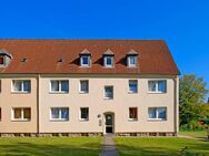 Jetzt frei! 3-Zimmer-Wohnung in Steinheim - Steinheim