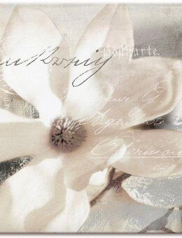 Artland Wandbild Magnolie_Detail, Blumenbilder (1 St), als Alubild, Outdoorbild, Leinwandbild, Poster, Wandaufkleber
