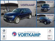 VW Tiguan, Comfortline, Jahr 2019 - Gronau (Westfalen)