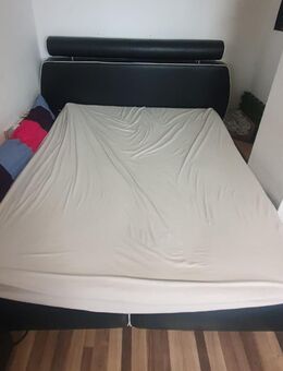 Wunderschönes Boxspringbett (180x200 cm) wegen Auswanderung abzugeben! - München