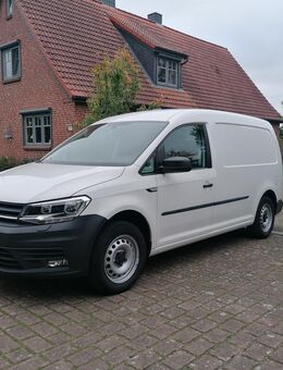 Volkswagen Caddy Maxi 1,4 TGI, Benzin/CNG, Sortimo-Regale, Sitzheizung, Tempomat, AHK, LKW-Zulassung und Vieles mehr - Friedrichsholm