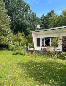 Idyllisches Waldgrundstück mit Bungalow und Finnhütte nahe Grimma - Colditz