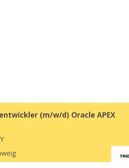 Datenbankentwickler (m/w/d) Oracle APEX - Braunschweig
