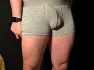 Boxershort zu verkaufen mit oder ohne Extras - München