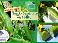 ♥ BIO Mini Snack Gurke Persika Samen Alte Sorte Gemüse Tulpenstolz,Garten,Vespergurke,samenfest,Minigurke - Hamburg