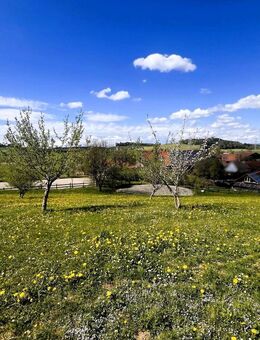 Ihr Naturrefugium mit Pferdeflair - Reiterhof nahe Lindau - Wangen (Allgäu)
