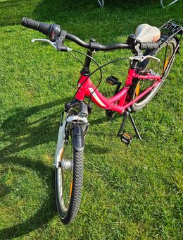 Pegasus Avanti 24" 7-Gang - Klosterlechfeld