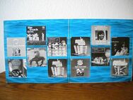 Surfin USA-Vinyl-DLP,Mfp,Rar ! - Linnich