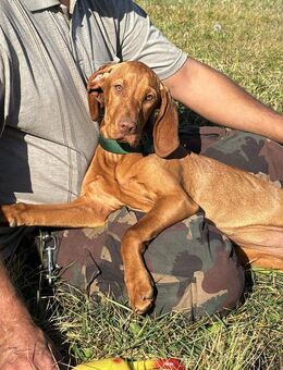 Ich heiße Ezra ... - Frankfurt (Main)