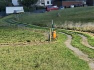 Grosszügiges Zweifamilienhaus im Grünen und doch zentral - Grünberg