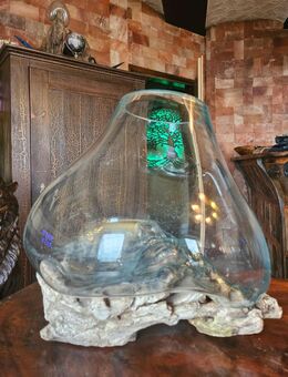 Blumenvase, Liqva Vase, Gamalholz Wurzelholz Glasvase, Dekoration Höhe 33 cm - Wehr (Rheinland-Pfalz)