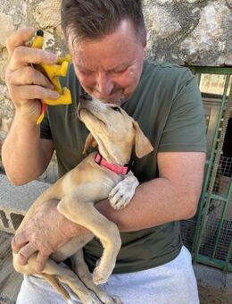 ROSETA sucht ihre Familie 💞 - Völklingen